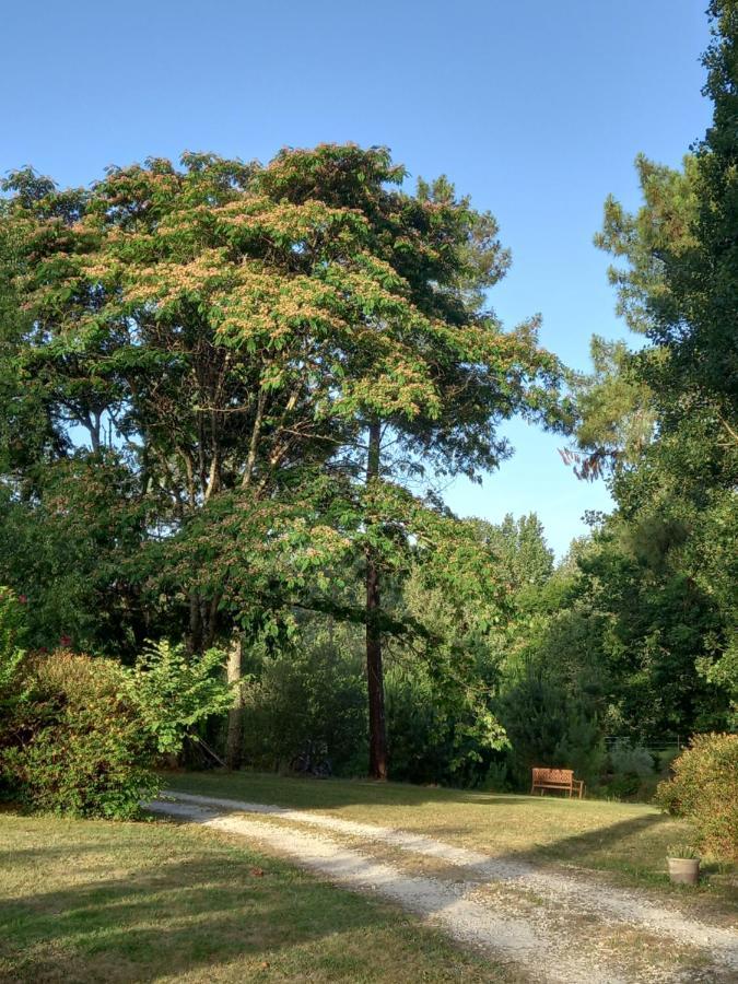 مبيت وإفطار Saint-Géraud-de-Corps Le Jardin De Myrtille المظهر الخارجي الصورة