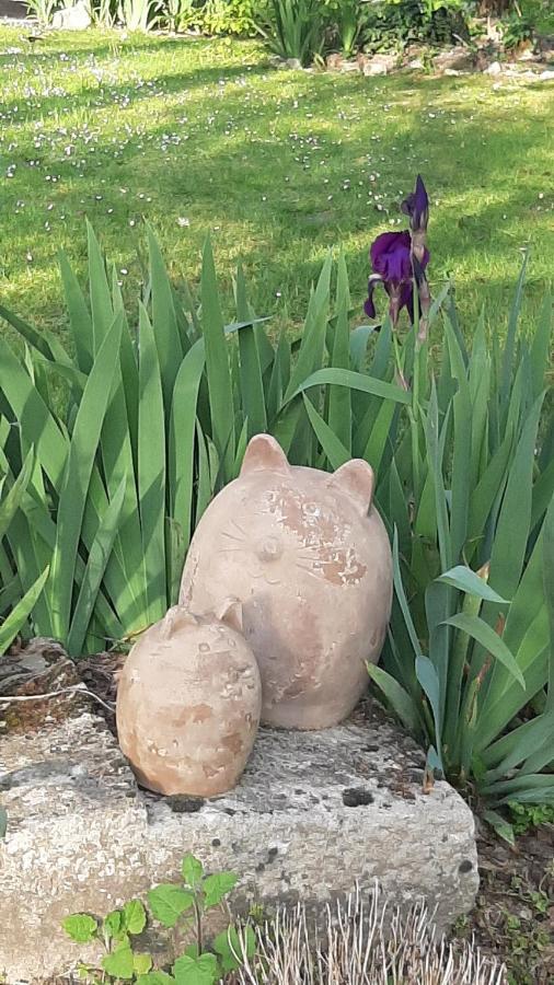 مبيت وإفطار Saint-Géraud-de-Corps Le Jardin De Myrtille المظهر الخارجي الصورة